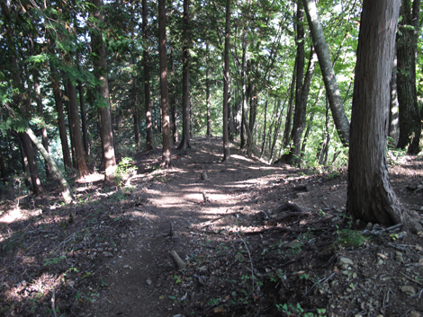 20151014hike (266)